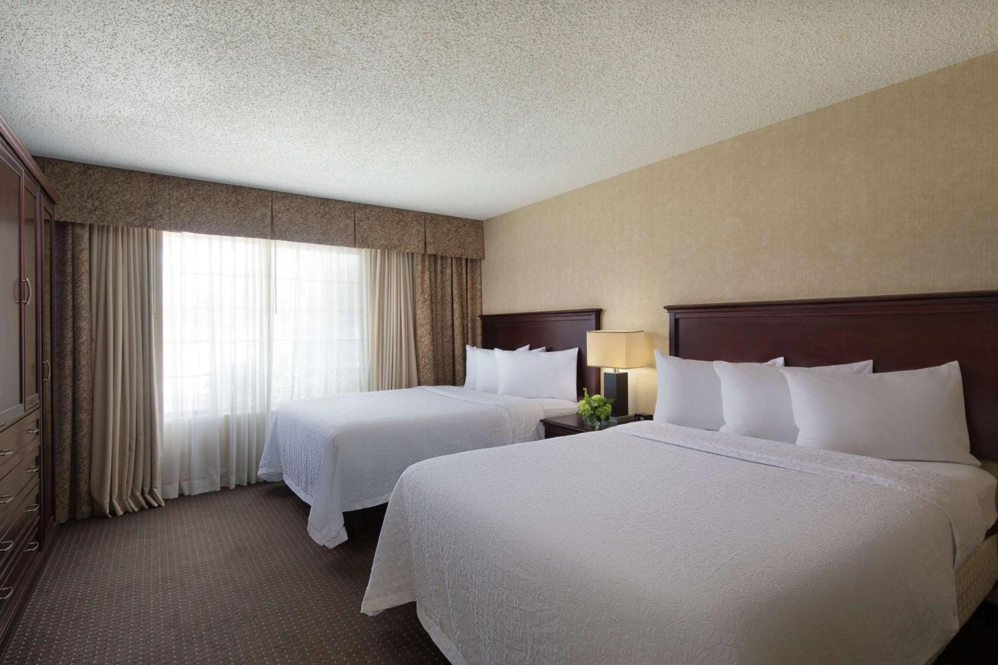 Suite Two Queen Beds,1710027923:JPEG