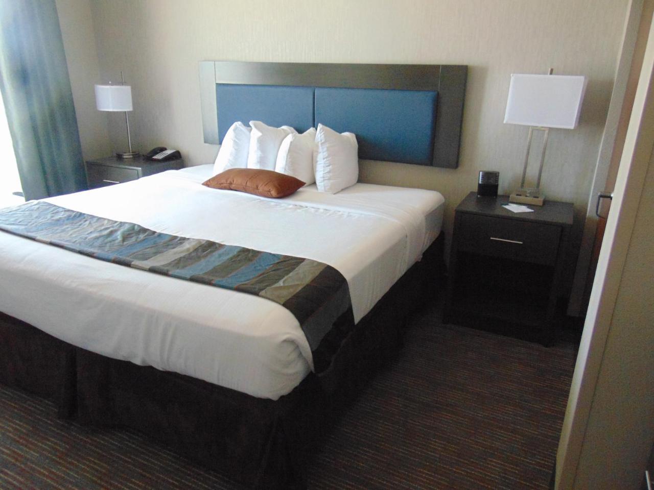 King Room Roll Shower Mobility or Hearing Accessible Non-Smoking,727336594:JPEG
